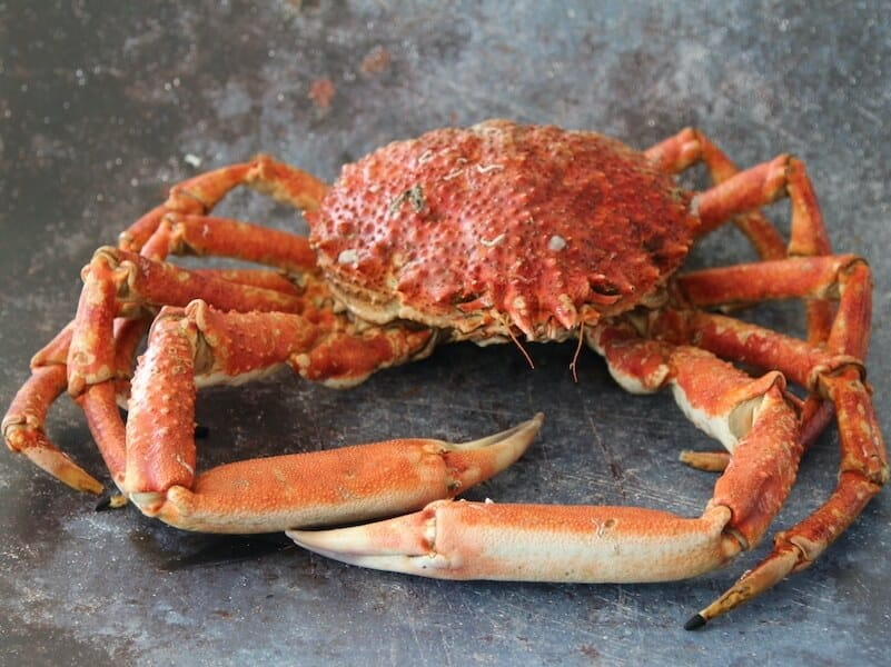 Imported King Crab