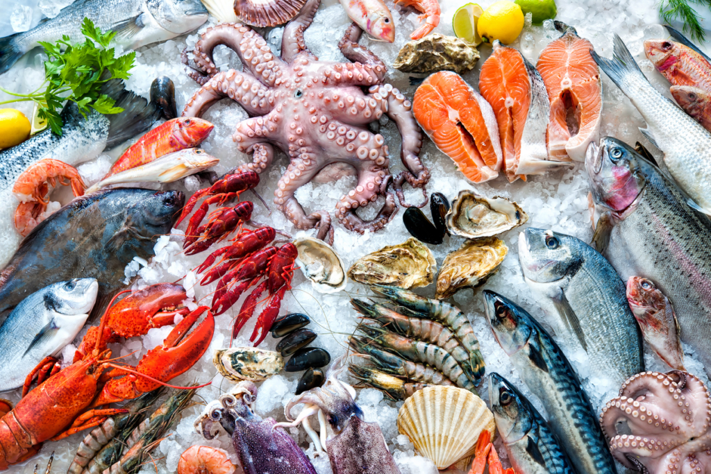 Variety of seafood