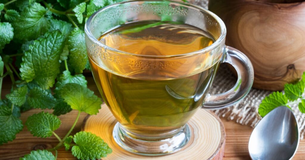 A cup of melissa (lemon balm) tea on a table with fresh melissa leaves in the background