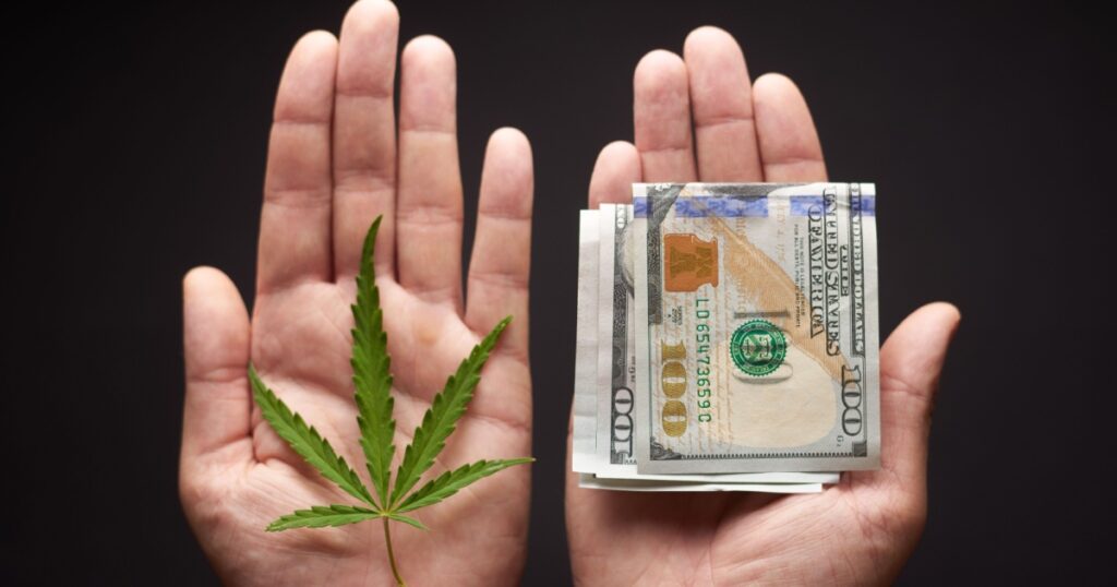 Two hands with cannabis and money. The concept of selling marijuana, hemp, drugs