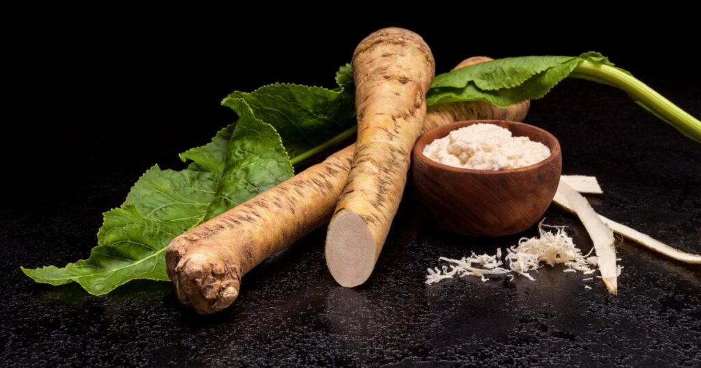 Fresh Horseradish Roots and spicy sauce in wooden bowl on dark background.