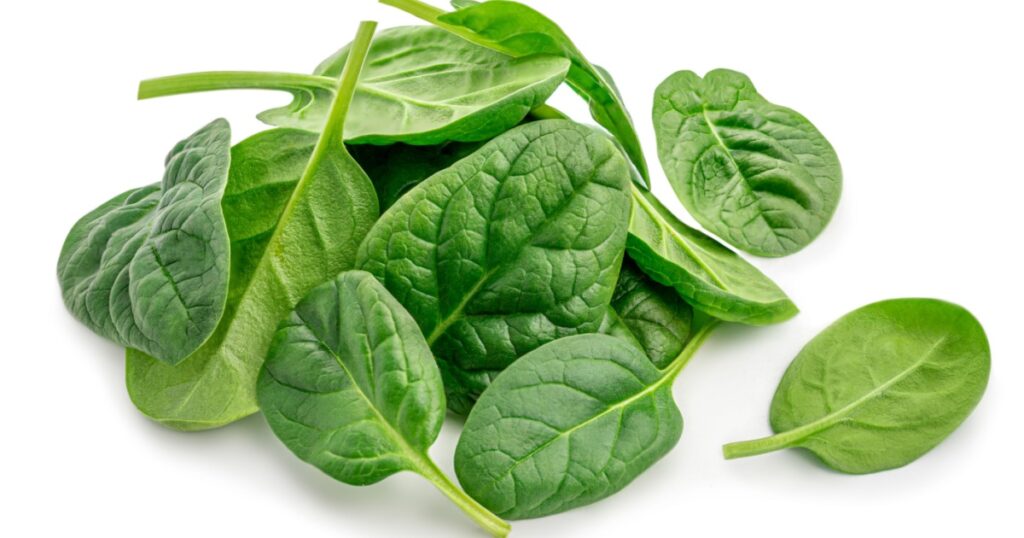 Pile of fresh green baby spinach leaves isolated on white background. Close up
