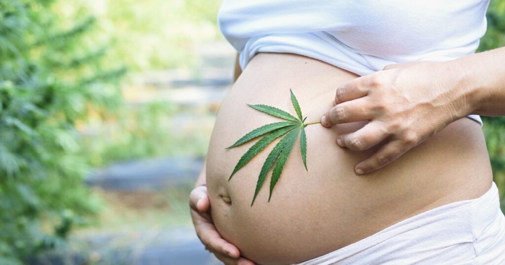 Pregnant woman in outdoor CBD culture holds a fresh leaf in her belly.