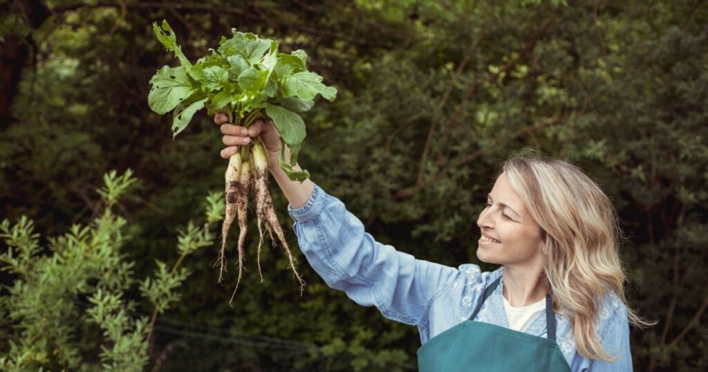young beautiful blonde woman harvesting horseradish in the garden