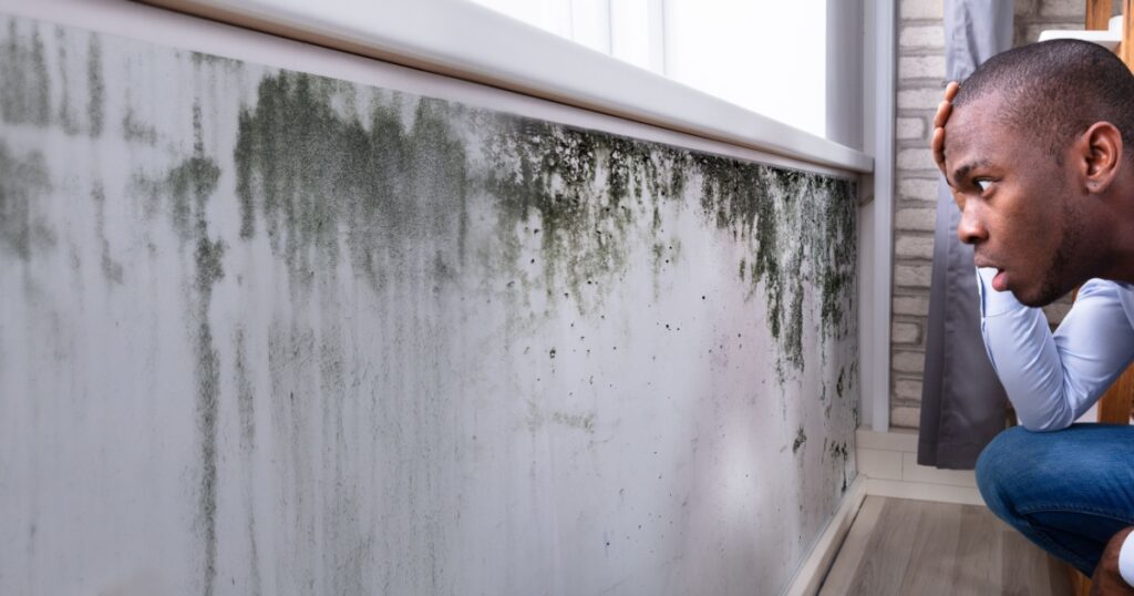 African American Checking Moldy Wall In House