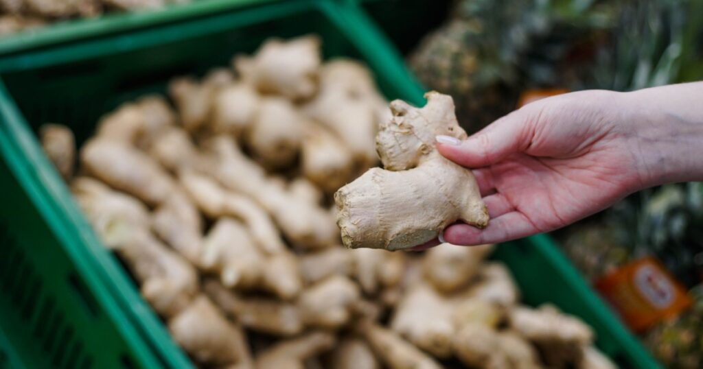 Woman choosing ginger in the supermarket. Close up of hand holding fresh ginger at store.
