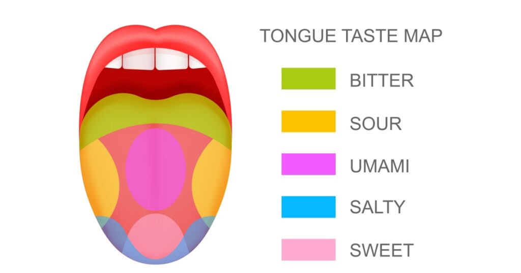 Tongue with taste receptors map sticking out from open mouth. Five flavor zones. Pseudoscientific theory of human taste buds