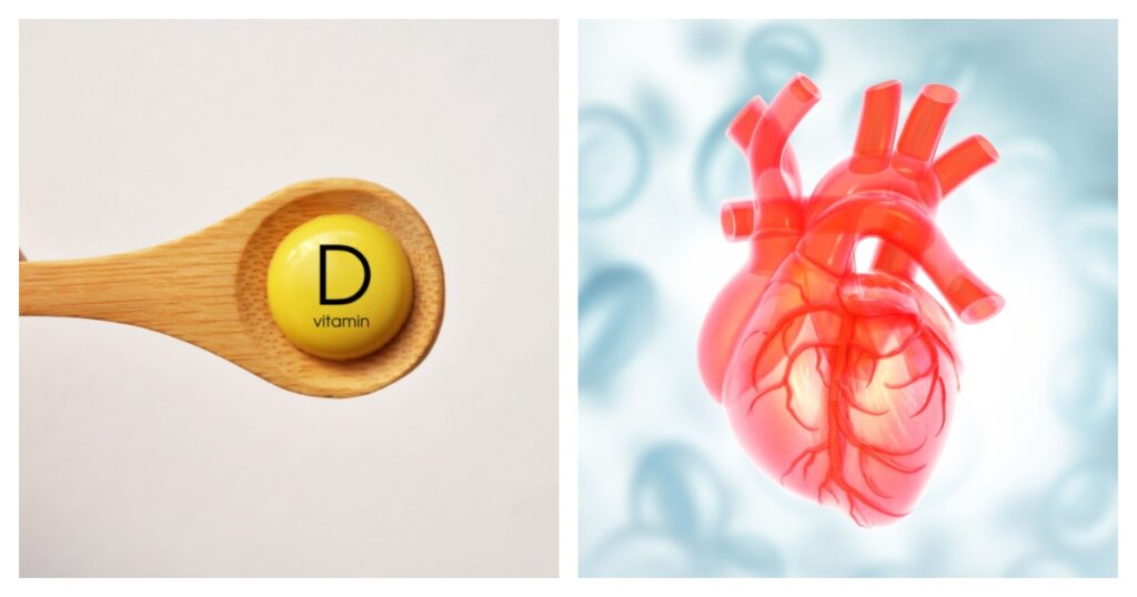 Vitamin D and a 3D rendering of a human heart 