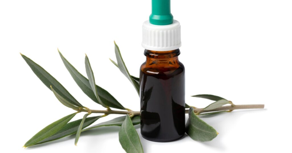 Bottle with olive leaf extract and a fresh twig of olive leaves isolated on white background