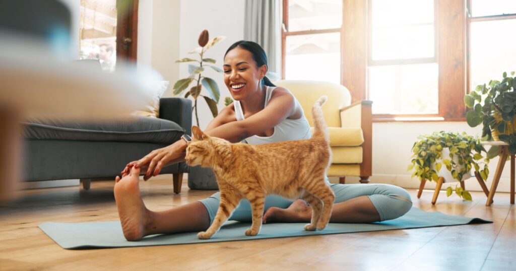 Cat, fitness or happy woman in yoga stretching legs for body flexibility, wellness or healthy lifestyle. Kitten, pet animal or zen girl in exercise, workout or training warm up in house exercising