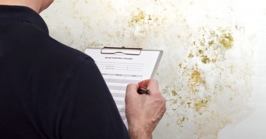 High humidity damage concept: man with an inspection checklist in front of a white wall overgrown with mold, mildew or fungus.