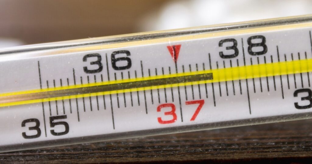 Mercury Thermometer of Glass Isolated