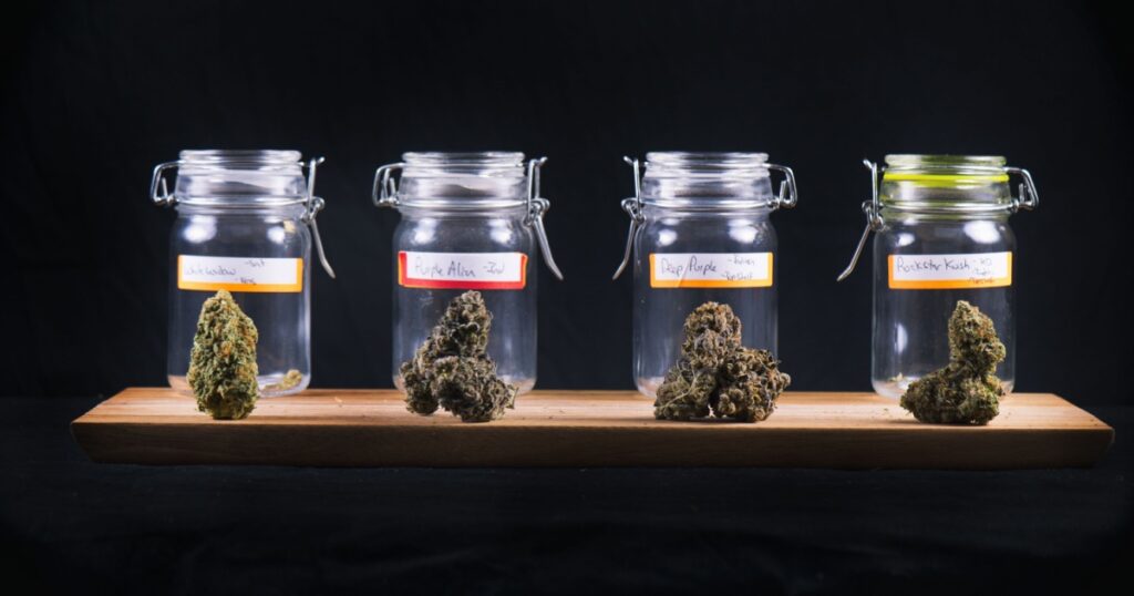 Assorted cannabis bud strains and glass jars isolated on black background - medical marijuana dispensary concept