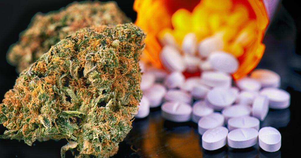 Detail of cannabis buds and prescriptions pills over reflective surface - medical marijuana dispensary concept