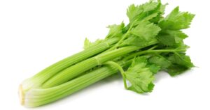 Penile Traction Devices Adjustable Waterproof Male Extender