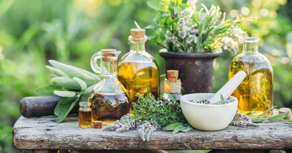 Fresh herbs from the garden and the different types of oils for massage and aromatherapy.