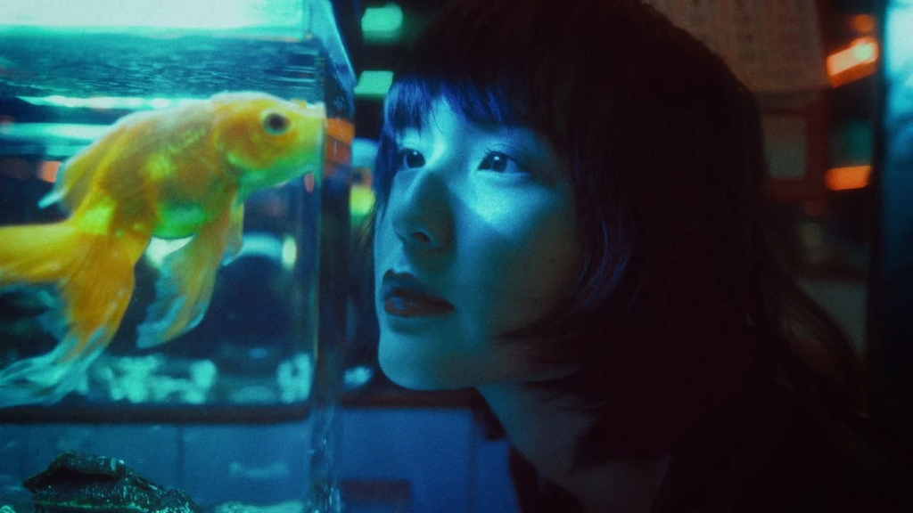Woman staring at glodfish