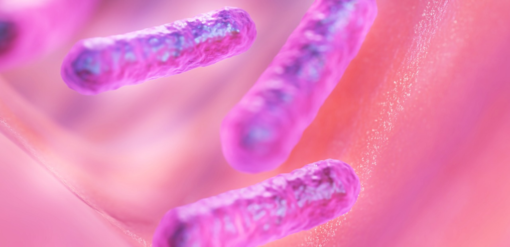 close up 3d illustration of rod shaped bacteria 