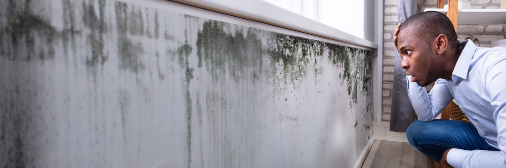 African American Checking Moldy Wall In House
