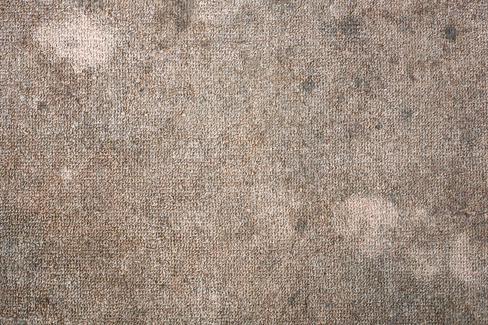 Dirty brown carpet with mold
