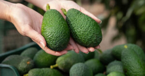 pair of hands holding two avocados