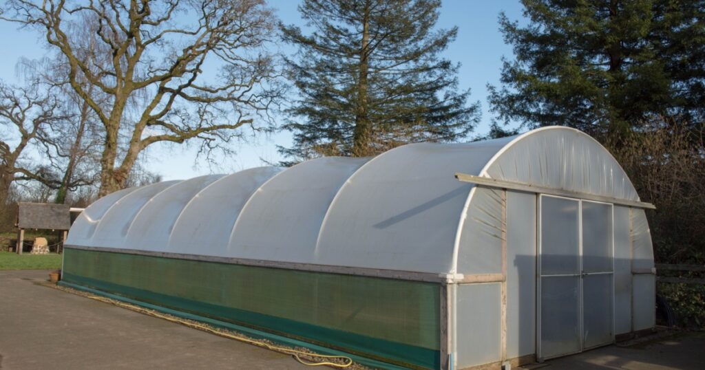 Polytunnel or Hoophouse on an Allotment in a Vegetable Garden in Rural Devon, England, UK