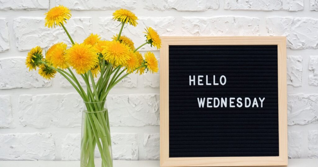 Hello Wednesday words on black letter board and bouquet of yellow dandelions flowers on table against white brick wall. Concept Happy Wednesday. Template for postcard.