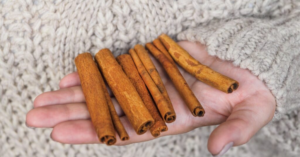 Cinnamon pods in the hands of a girl. A woman in a knitted wool sweater holds cinnamon in her hands. Cozy atmosphere.