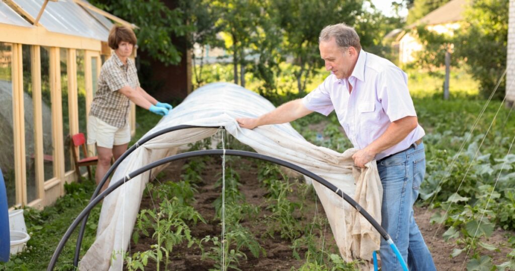 Elderly couple shelters plants from the cold