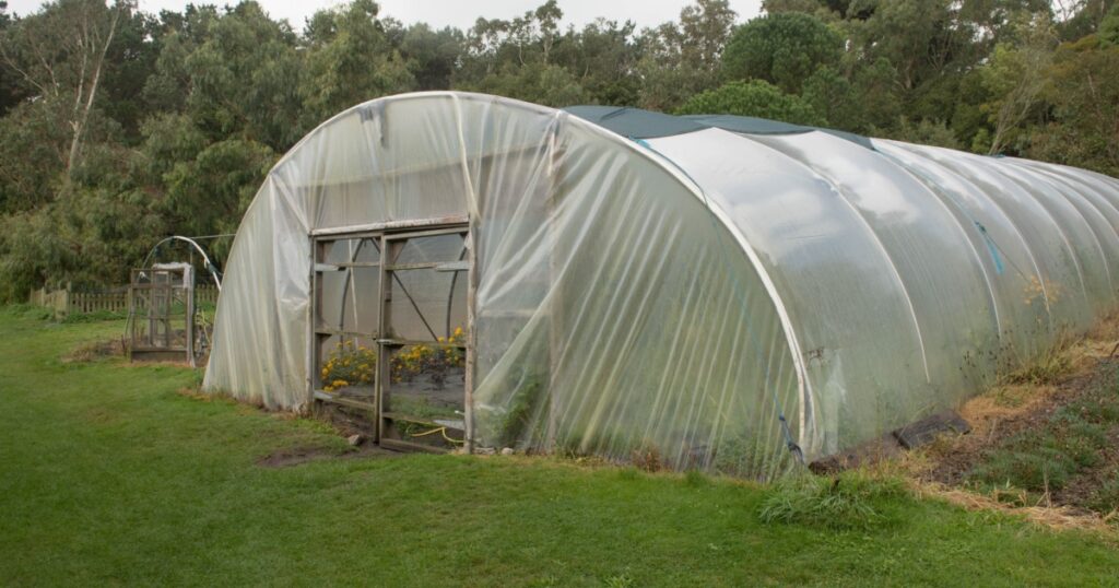Polytunnel or Poly Tunnel for Propagating Plants and Vegetables in a Vegetable Garden on the Island of Tresco in the Isles of Scilly, England, UK