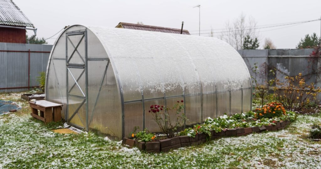 An empty polycarbonate greenhouse covered with the first snow in the garden in autumn