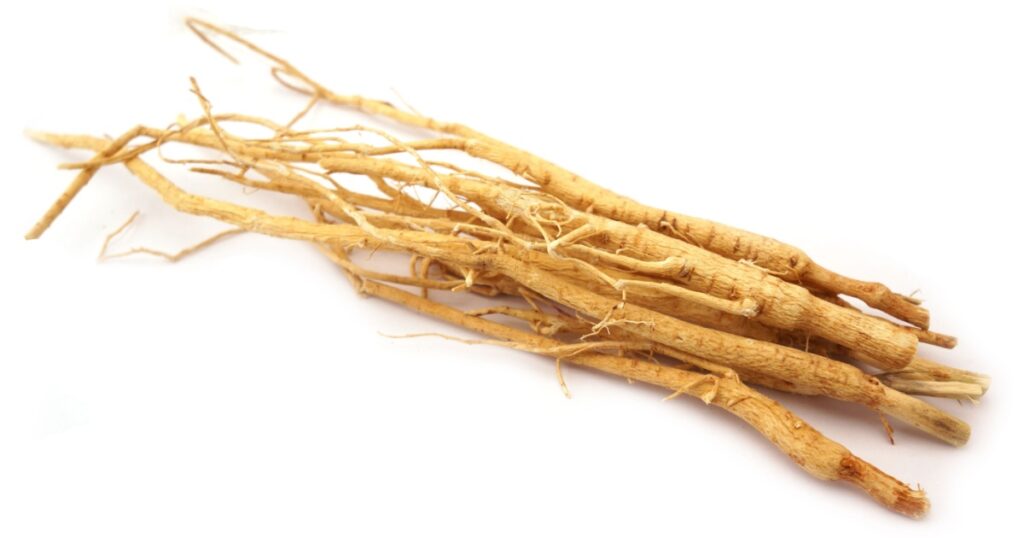 dried Astragalus membranaceus root isolated on white background