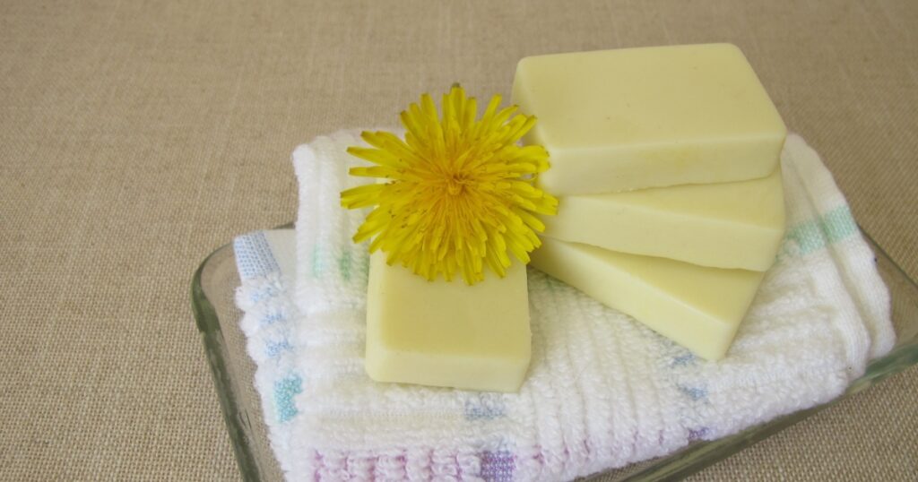 Homemade solid body butter bars with dandelion flower oil, cocoa butter, coconut oil