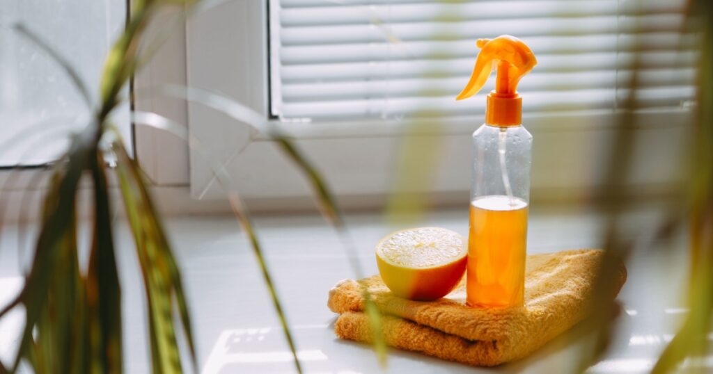 DIY cleaning spray, natural toxic free home cleaner, orange peel infused vinegar. Zero waste homemade citrus cleaner for all purpose cleaning. Eco friendly living concept. View through plant.