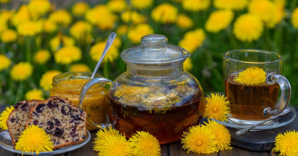 Healthy dandelion flower tea in a glass cup on the wooden table with sweet jam and cherry muffin in the spring garden, close up