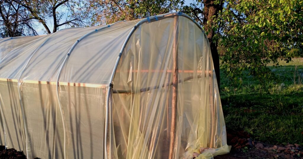 Homemade greenhouse made of polyethylene film and wooden columns made of wood. The topic of growing vegetables in greenhouse conditions. A