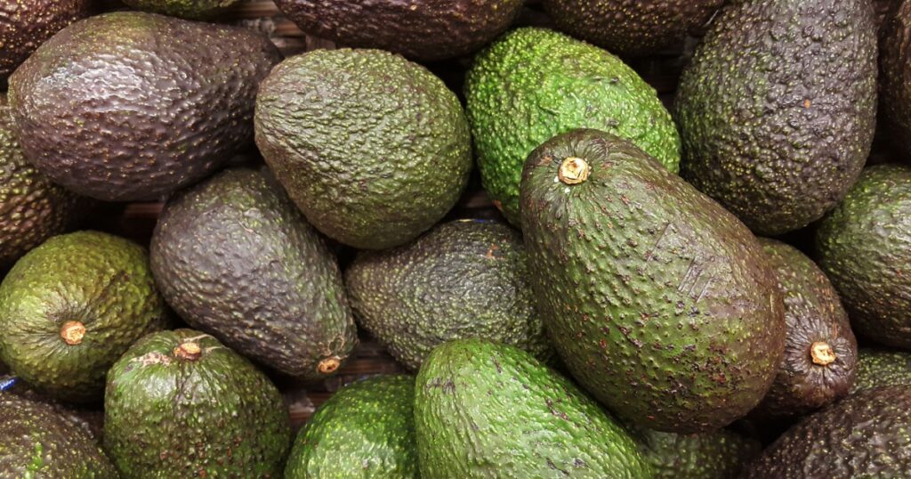 Avocado also refers to the Avocado tree's fruit, which is botanically a large berry containing a single seed. Avocados are very nutritious and contain a wide variety of nutrients.