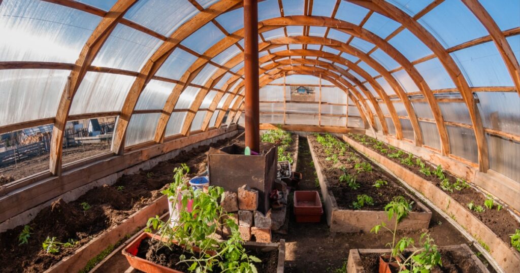 Seedlings of tomato. Growing tomatoes in the greenhouse. Seedlings in the greenhouse. Growing vegetables in greenhouses. Preparing for the beginning of the spring season.