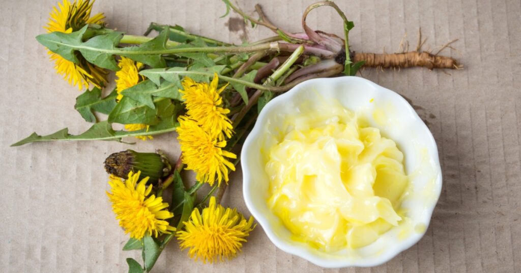 Dandelion flowers and homemade salve top view