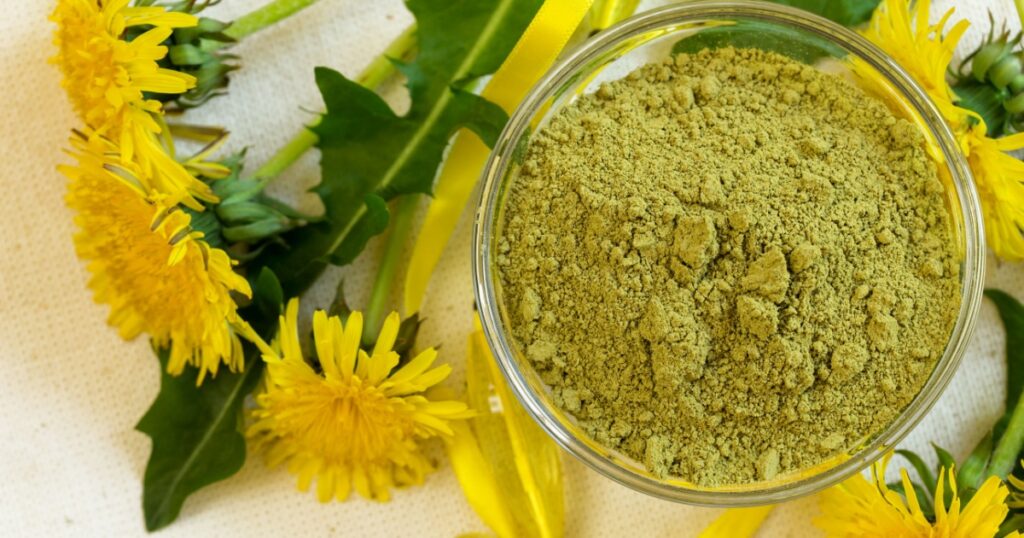 Henna powder. Still life with henna and flowers of dandelions. Focus on the powder.