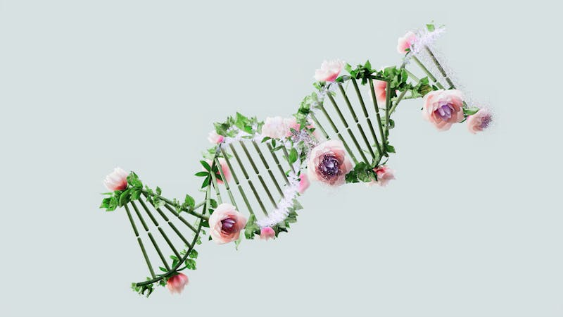 Flowery DNA string