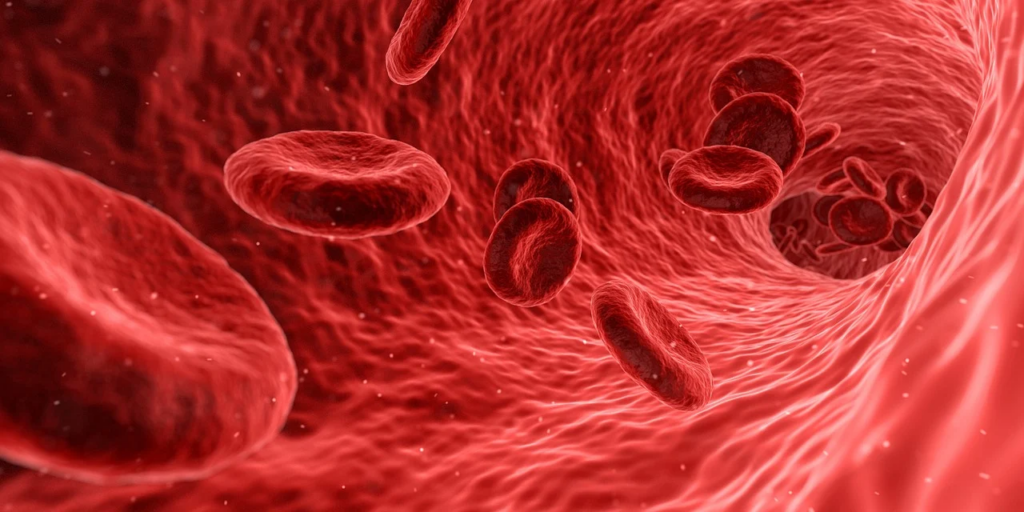 red cells in bloodstream