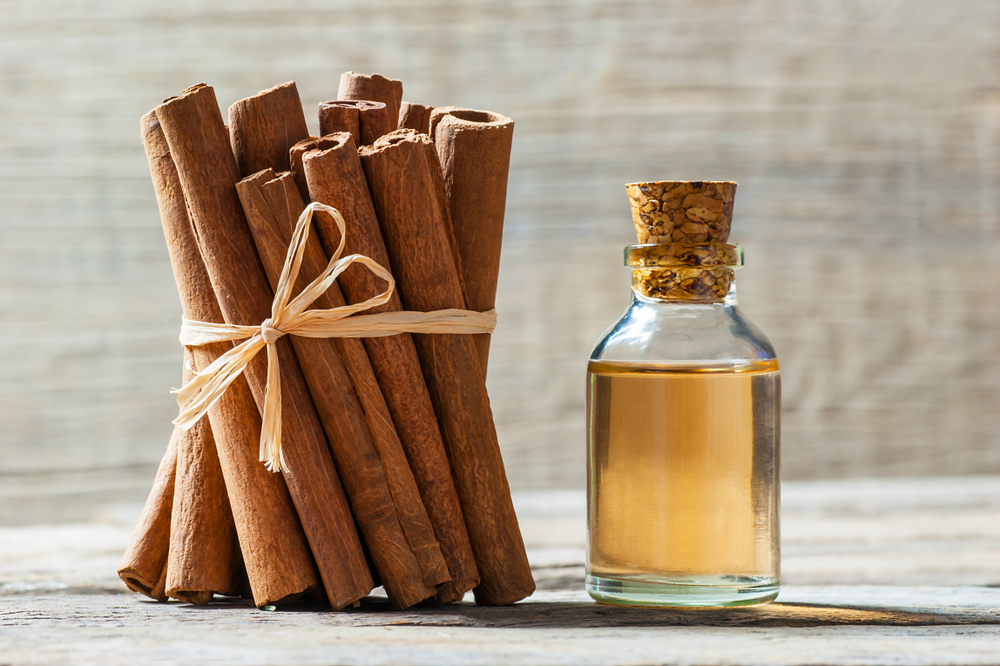 Close up bottle of cinnamon oil with cinnamon sticks and cinnamon powder on wooden background, healthy spice concept Cinnamomum verum
