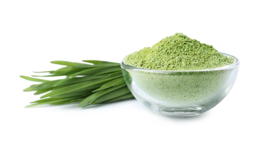 Fresh wheat grass and bowl with powder on white background