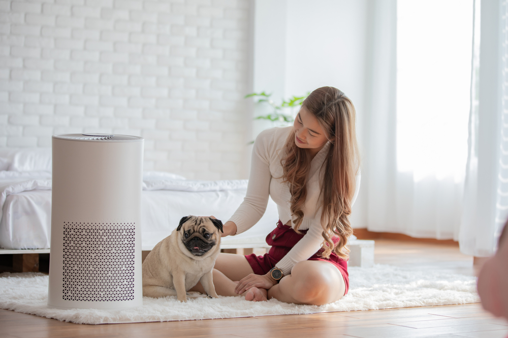 Woman playing with Dog Pug Breed and Air purifier in cozy white bed room for filter and cleaning removing dust PM2.5 HEPA in home,for fresh air and healthy life,Air Pollution Concept