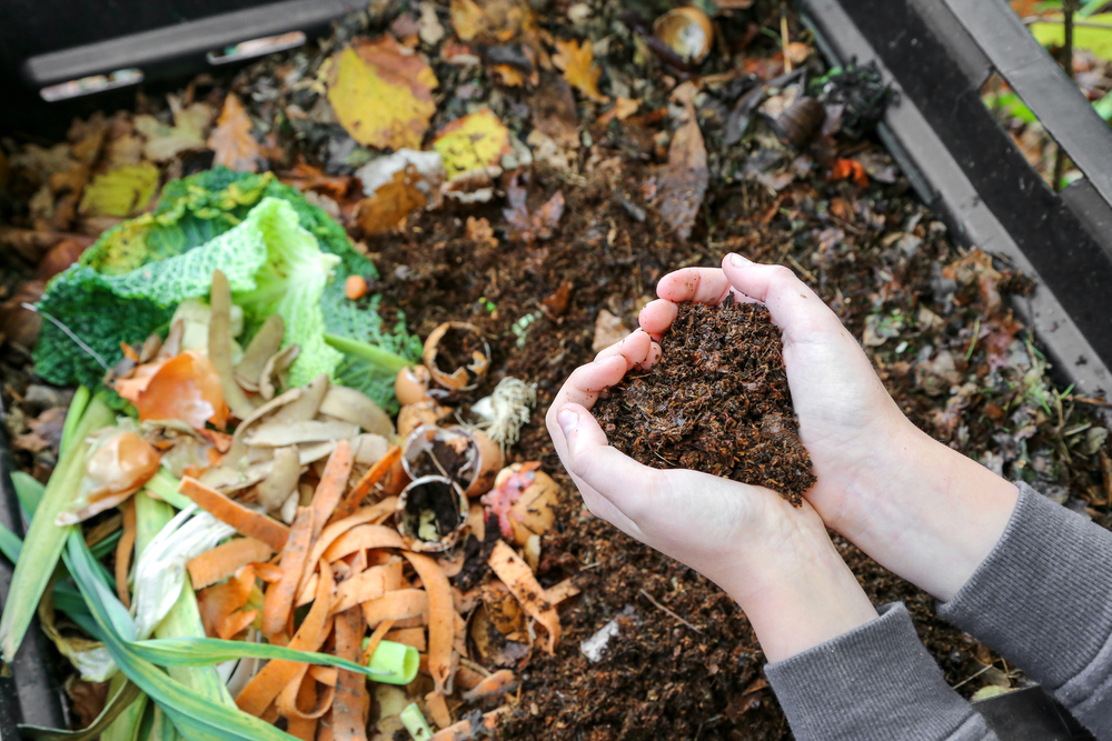 hands holding compost above the composter with organic waste
