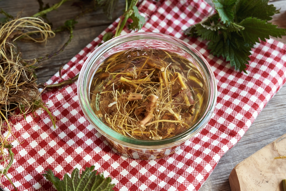 Preparation of herbal tincture from fresh nettle roots
