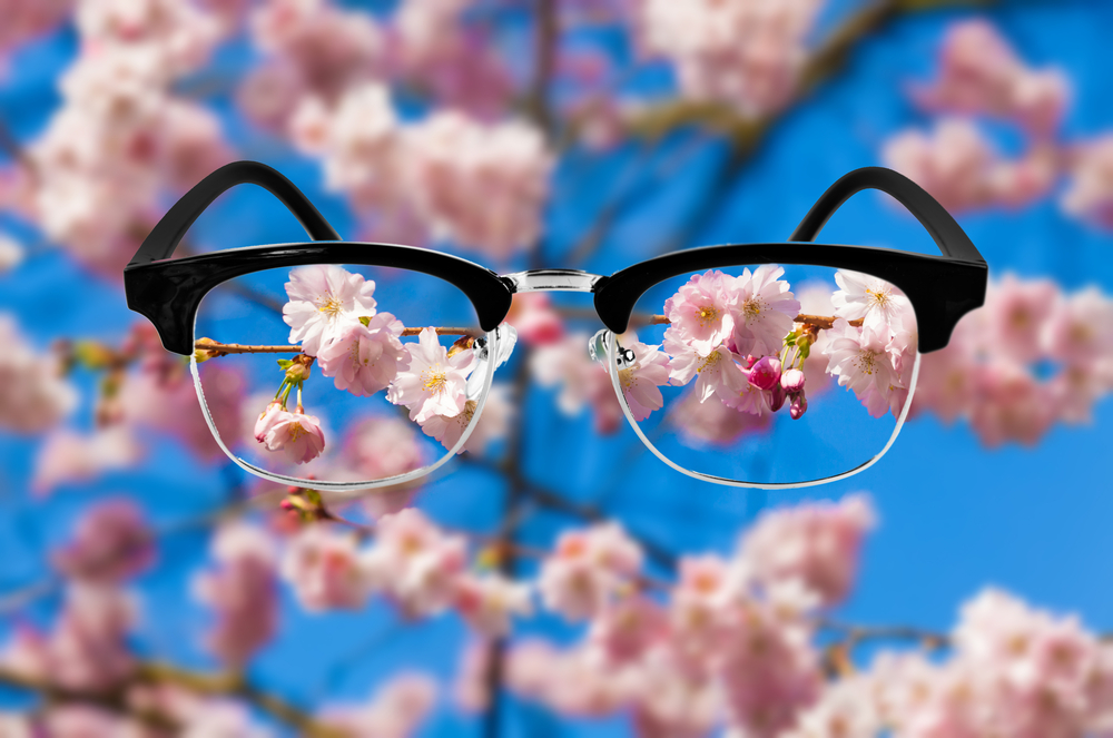 Cherry blossom, Optic health care concept. Medical optics concept with glasses. vision glasses
