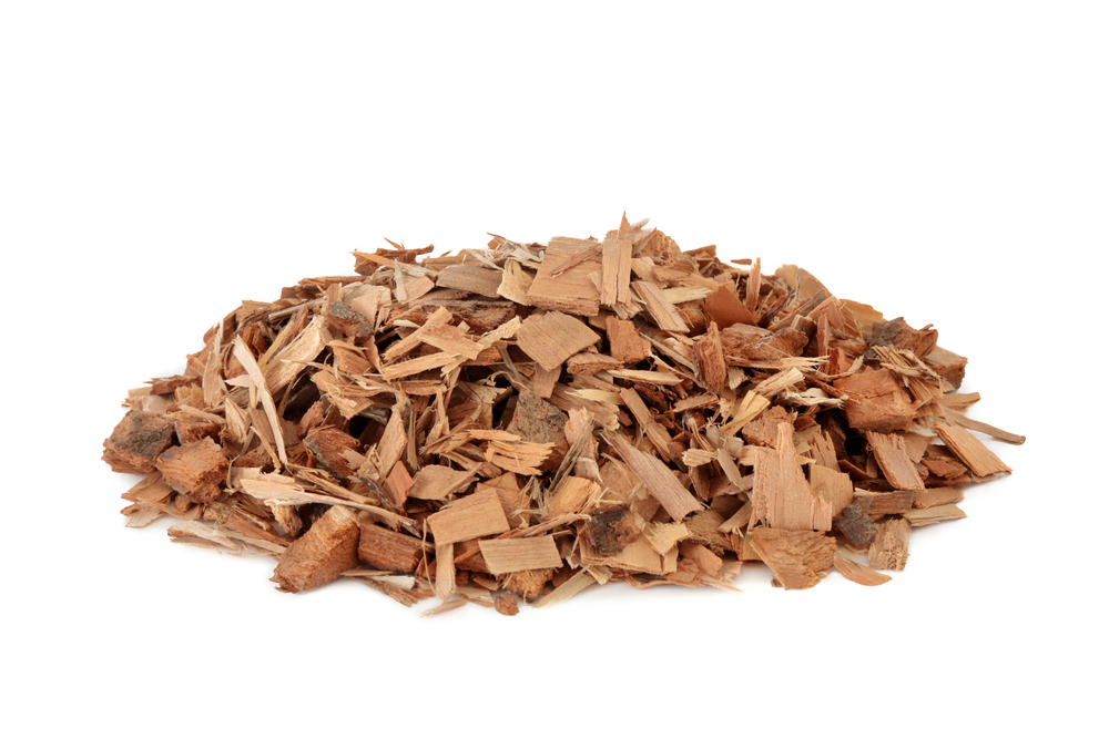 Saw palmetto herb herbal medicine can reduce urinary frequency whilst increasing urinary flow and helps benign prostatic hyperplasia and may delay the need for prostrate surgery. Sabal serrulata.