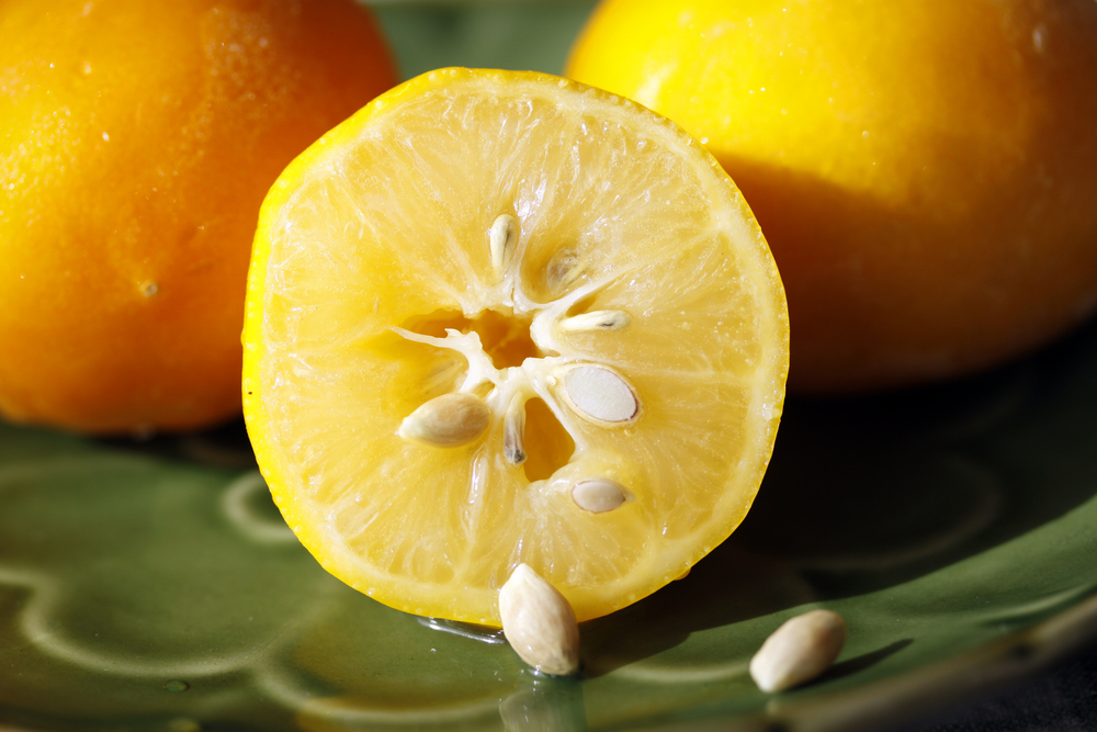 Freshly cut Meyer lemon with seeds.
